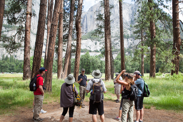 Camera Cultures: Technosocial Theaters of the Photographic Event